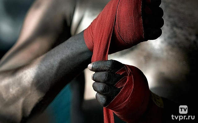 FightBox King of Kings MMA Bushido Brussels, Belgium