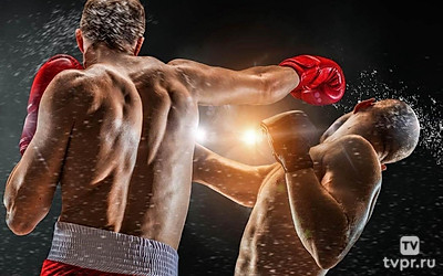 Fightbox King of Kings World Series, Slovakia