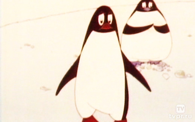 Пингвины