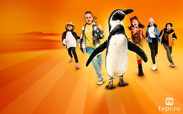 Приключения пингвина Пола