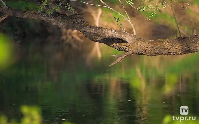 Река Большой Сурень