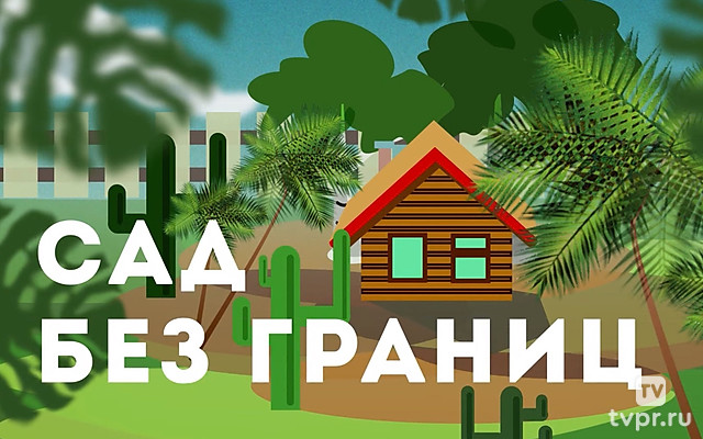Сад без границ