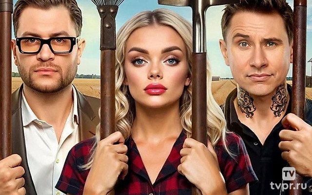 Блогеры взаперти