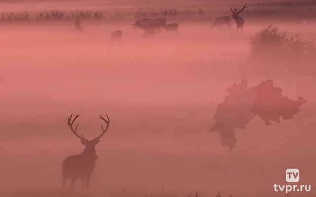 Природа всегда побеждает