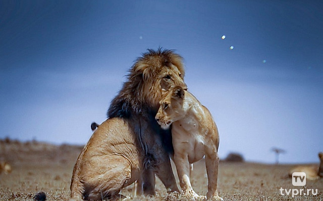 Земля ночью в цвете