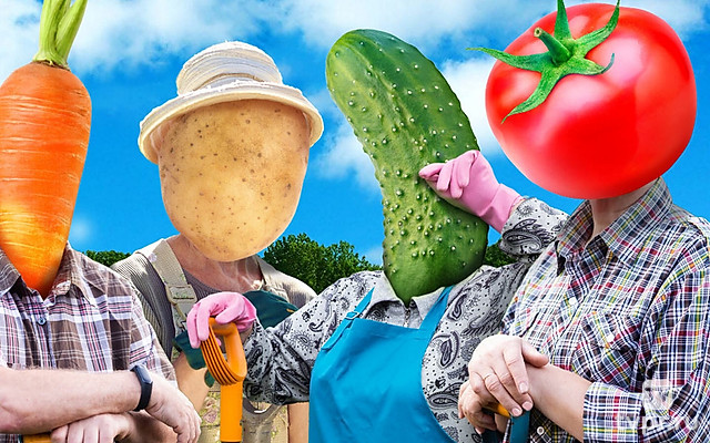 Четыре дачи