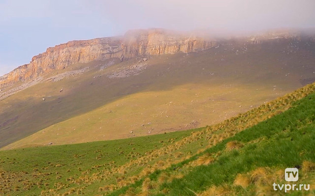 Долина с речкой