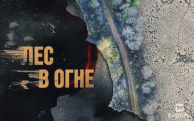 Лес в огне