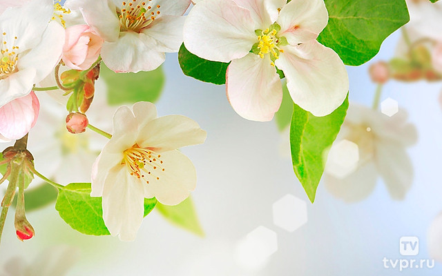 Майские посиделки