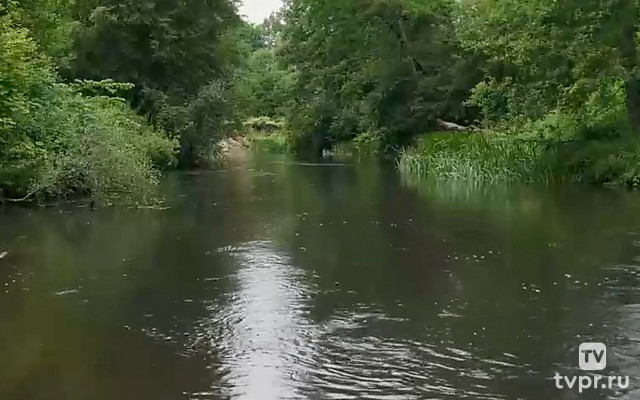 Река Ислочь Беларусь