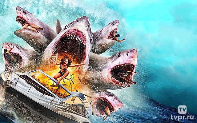 Нападение шестиголовой акулы