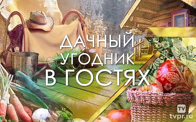 Дачный угодник в гостях