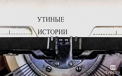 Утиные истории