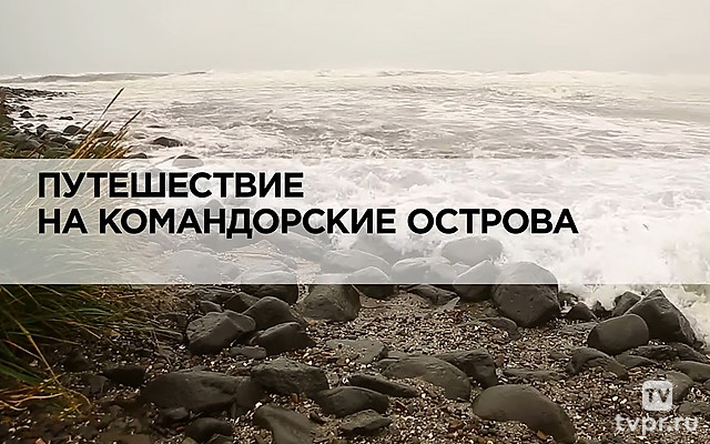 Путешествие на Командорские острова