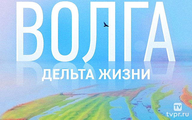 Волга-дельта жизни