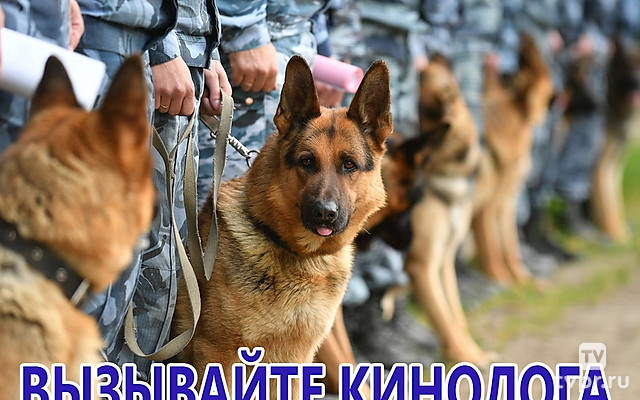 Вызывайте кинолога