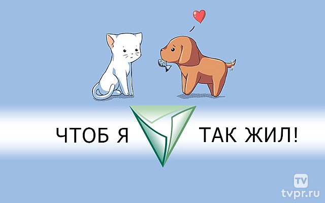 Чтоб я так жил