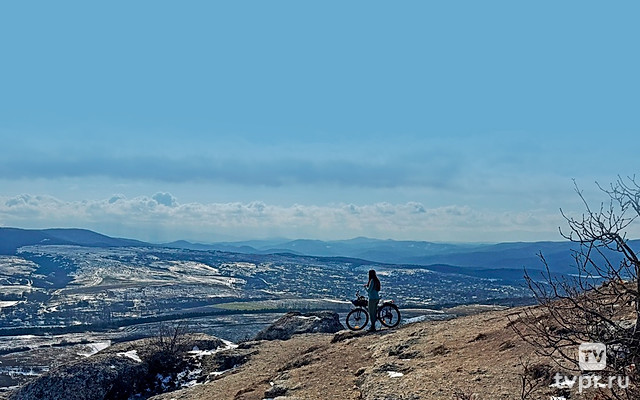 Дорожный бродяга