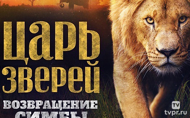 Царь зверей. Возвращение Симбы