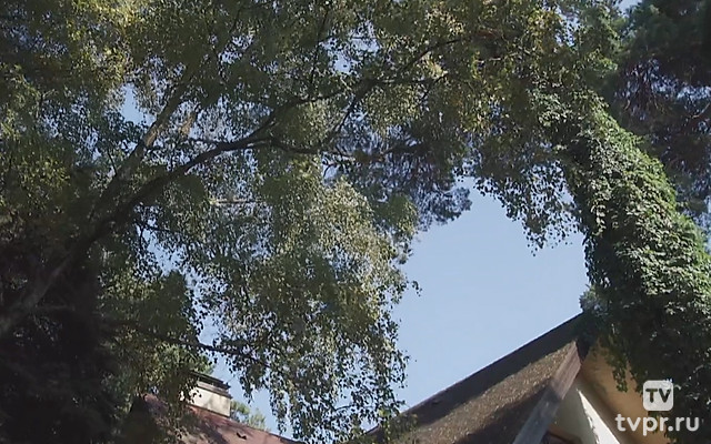 Настоящий папа