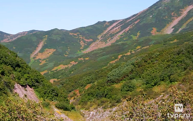 Река Пиначевская