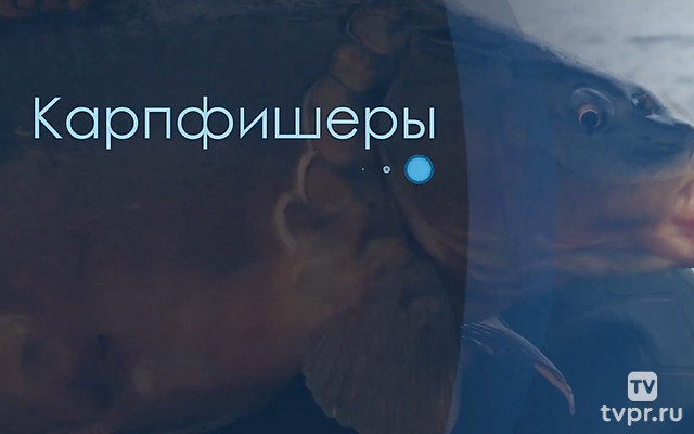 Карпфишеры