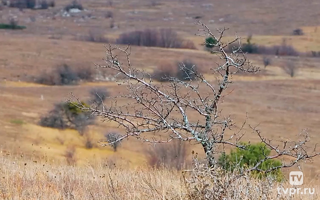 Нижнее плато Четыр-Даг