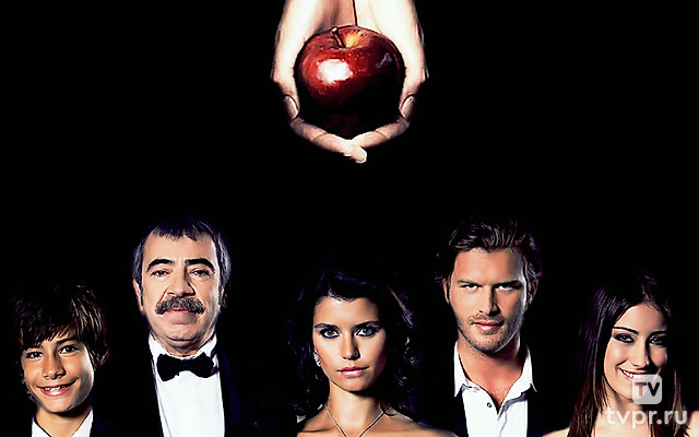 Запретная любовь