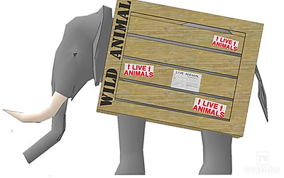 Особая доставка