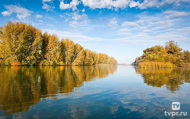 Подводная жизнь дельты Волги