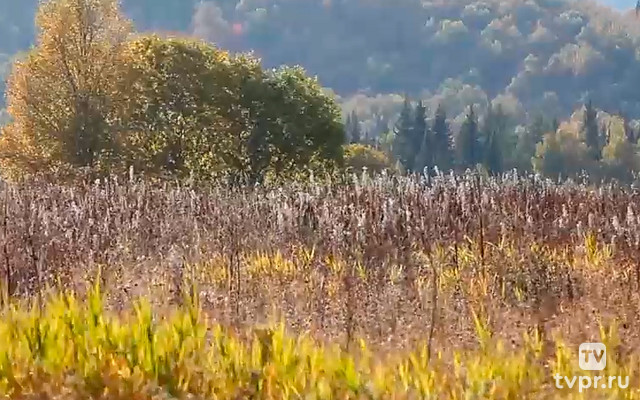 Урочище Капкалка