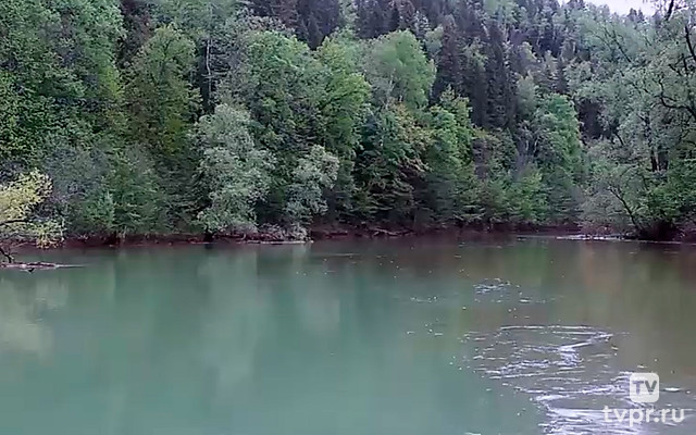 Родник Красный ключ