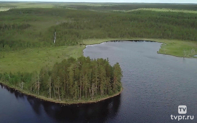 Ладога-Трофи