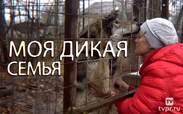 Моя дикая семья