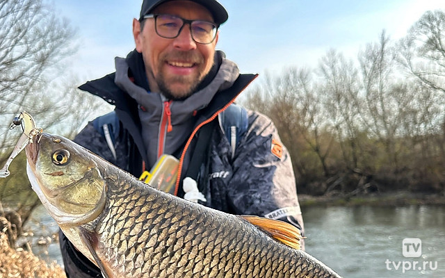 Голавль и жерех весной