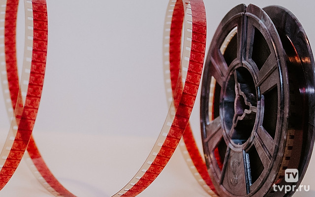 Дикие болонки