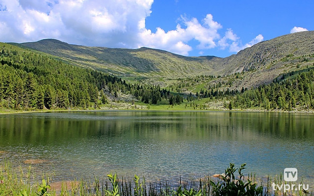 Тайны Астраханского заповедника. Цветок Будды