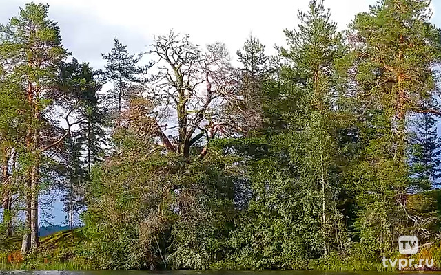 Озеро Шуезеро