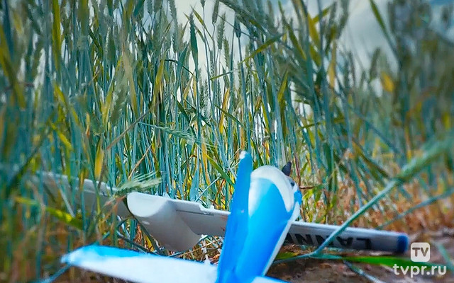 Небесные детективы