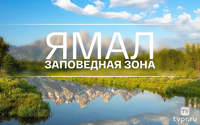 Ямал. Заповедная зона