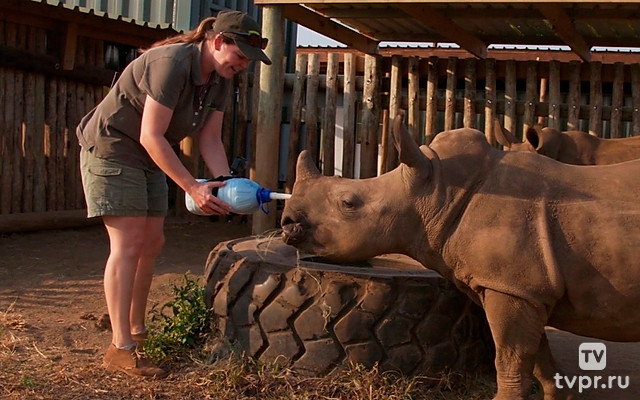 Африканская служба спасения