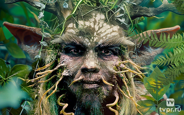 Леший его знает!