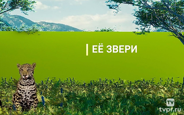 Её звери