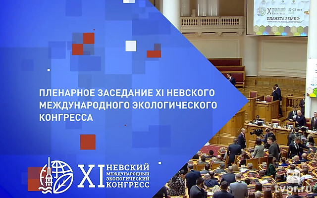 Пленарное заседание XI Невского международного экологического конгресса