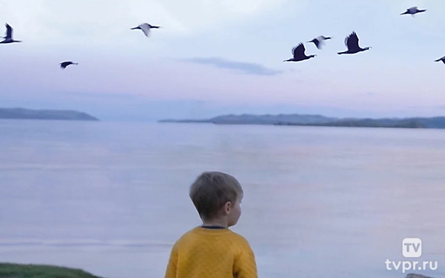 Король бакланов