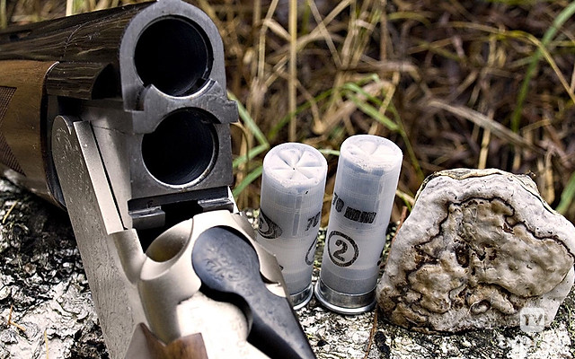 Сезон охоты