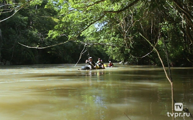 Что нам стоит плот построить?
