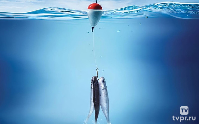 Азбука поплавочной ловли