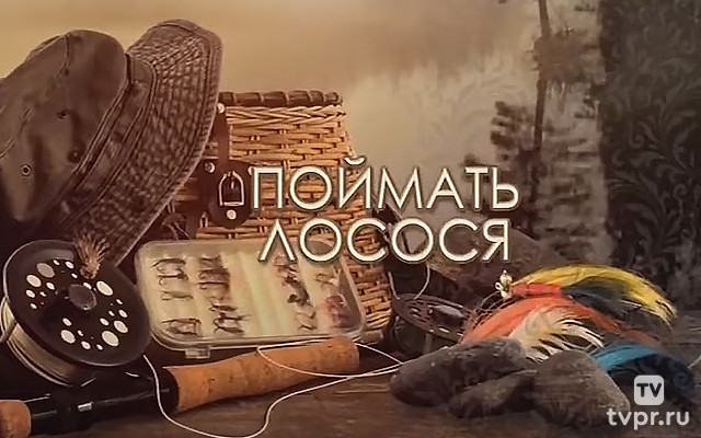 Поймать лосося