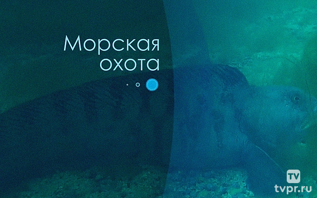 Морская охота